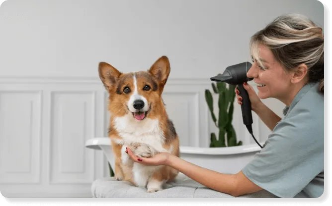 Pet grooming center billing software