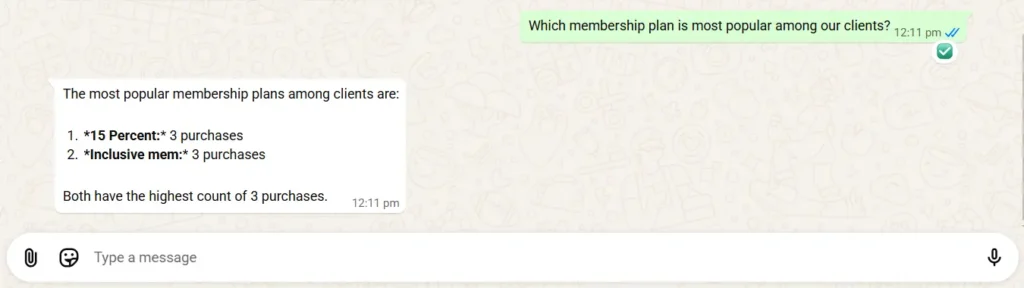 Owner's AI Assistant Chatbot - Salon Membership Clients